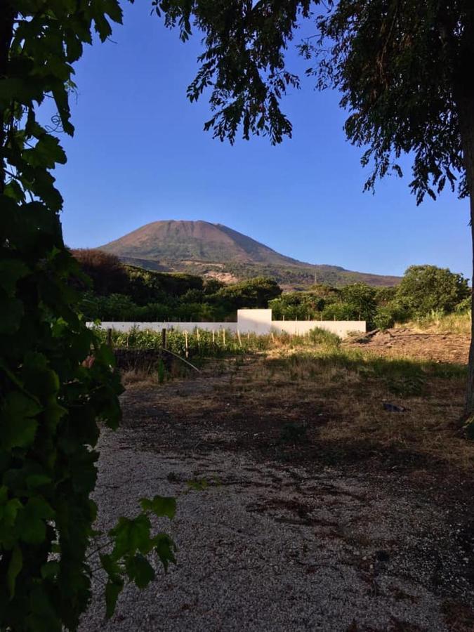 Villa Mazza Al Vesuvio Торре-дель-Греко Екстер'єр фото