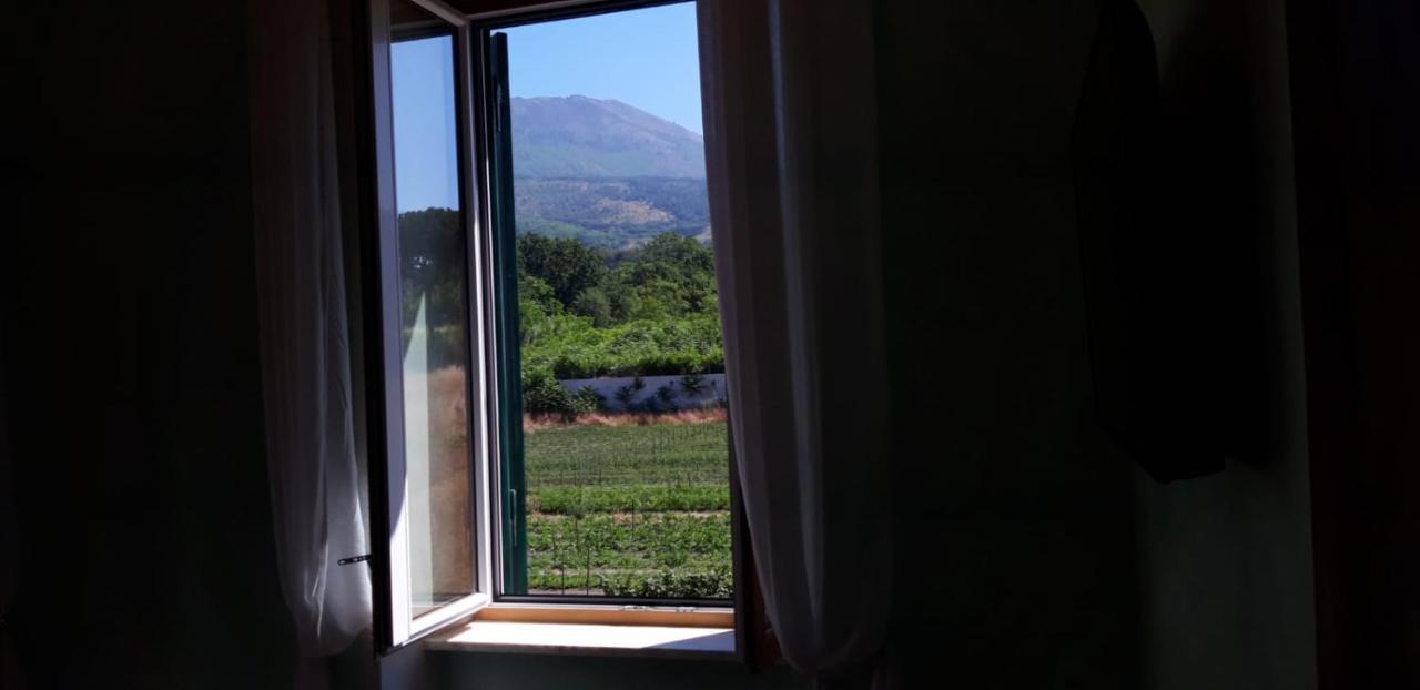 Villa Mazza Al Vesuvio Торре-дель-Греко Екстер'єр фото
